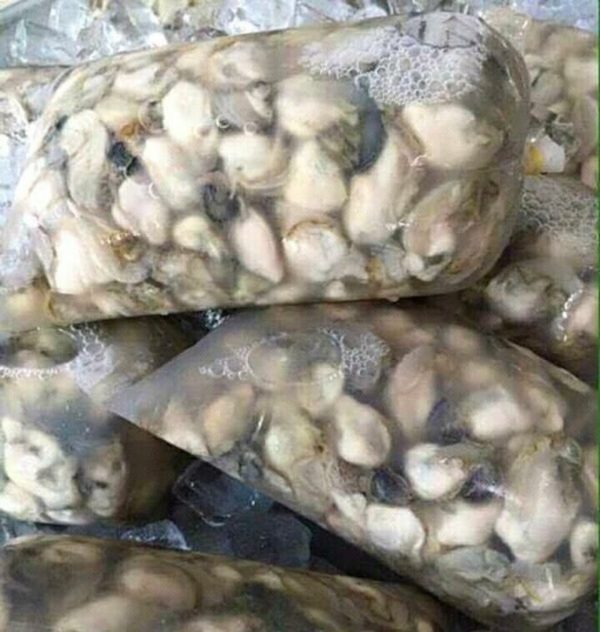 Hào sữa