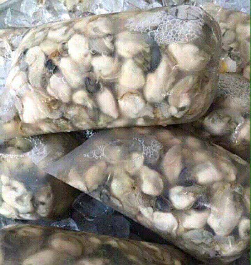 Hào Sữa 1 Hào sữa