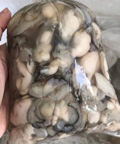 Alternative view of Hào Sữa