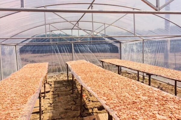 tom kho dep 3 3b9a43d0d20b4dc5b254a11987084ae9 grande