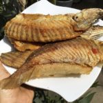 thác lác rút xương giá sỉ