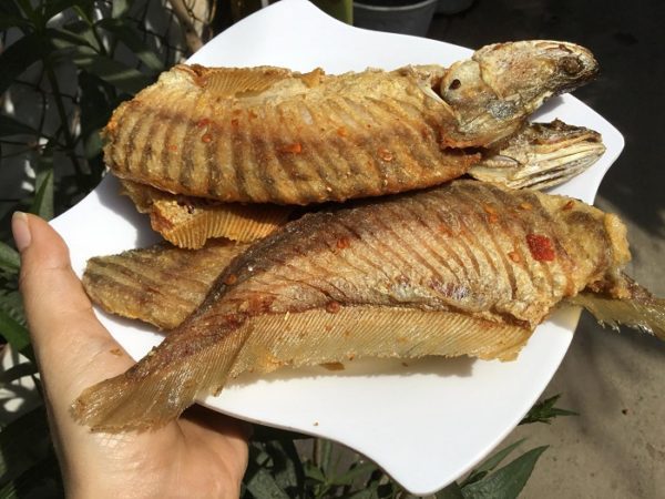 thác lác rút xương giá sỉ