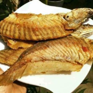 thác lác rút xương giá sỉ