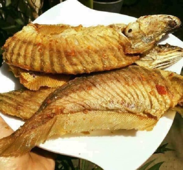 thác lác rút xương giá sỉ