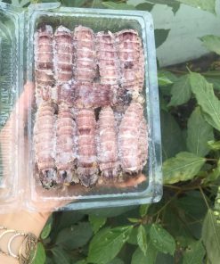 [HCM giao liền 1-2 Tiếng] 500gr Thịt tôm tít (bề bề bóc nõn)