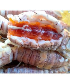 Tôm tích gạch (bề bề) bao gạch từng con