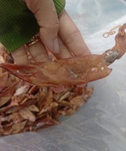 Khô mực chuối giá sỉ