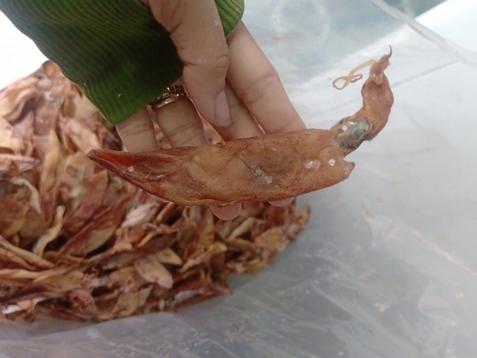 Khô mực chuối mực sữa 1kg 4 Khô mực chuối giá sỉ