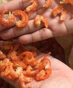 Tôm khô size lớn
