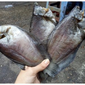 1kg kho ca sac loai lon 0