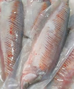 cá thác lác rút xương giá sỉ