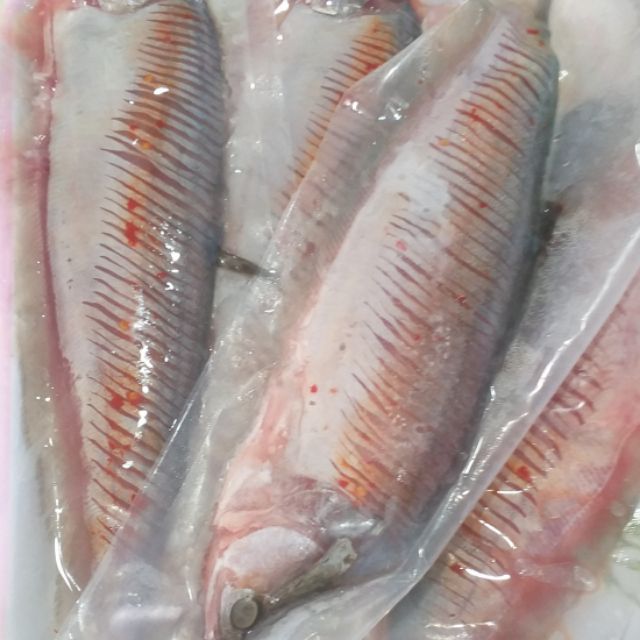 Cá thác lát rút xương - Đặc sản nổi tiếng miền Tây Nam Bộ 1 cá thác lác rút xương giá sỉ