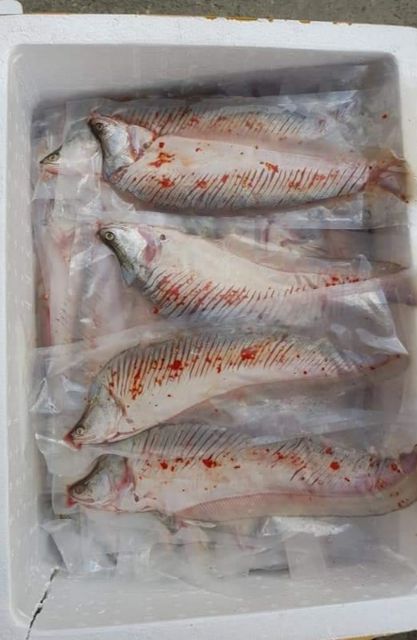 thác lác rút xương giá sỉ