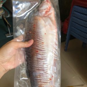 ca thac lac rut xuong3 4 con ky 0