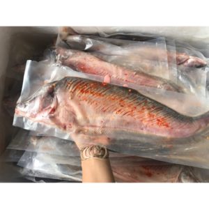 hcm giao toc hanh 1 2h 1kg ca thac lac rut xuong chuyen si 0