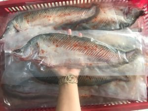 hcm giao toc hanh 1 2h 1kg ca thac lac rut xuong chuyen si 1