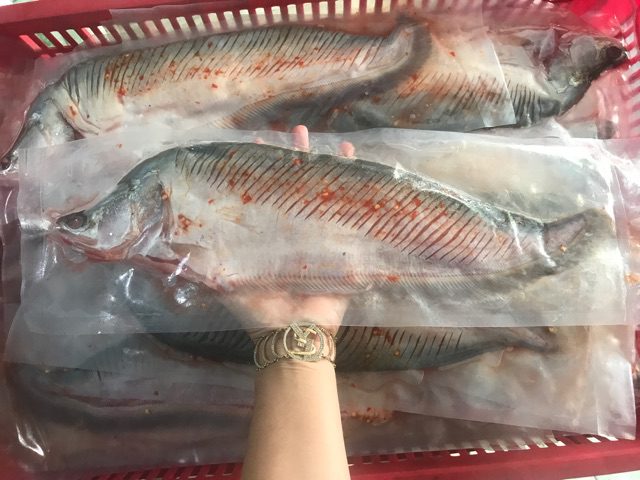 hcm giao toc hanh 1 2h 1kg ca thac lac rut xuong chuyen si 1