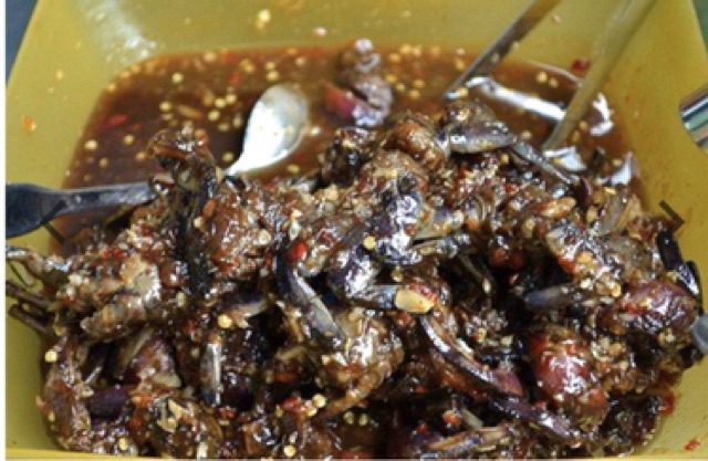 Mắm Ba Khía Sữa 3 Mắm Ba Khía Sữa - Ảnh 3