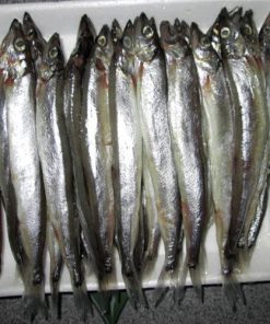 Cá trứng nauy giá sỉ