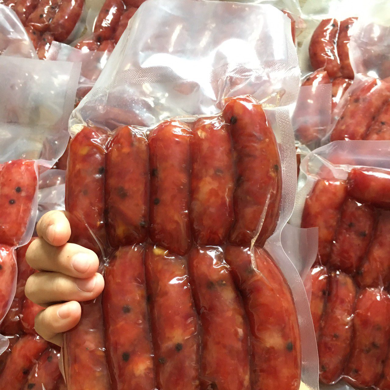 lap xuong cai lay gia si 3